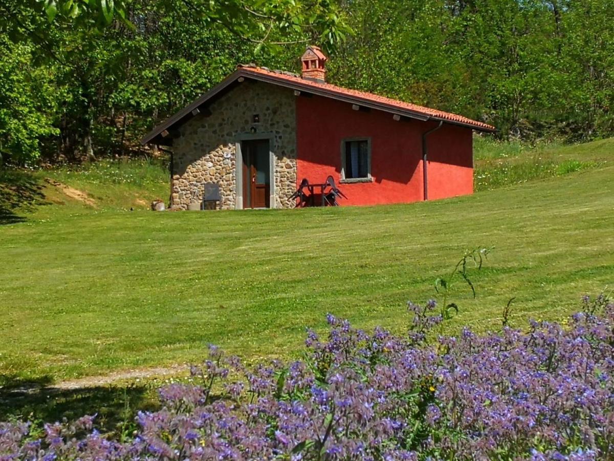 Agriturismo Braccicorti 피에베포시아나 외부 사진