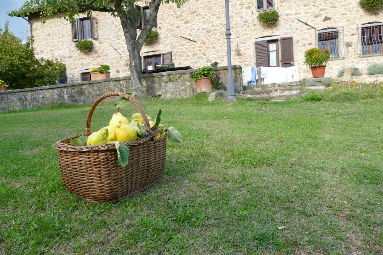 Agriturismo Braccicorti 피에베포시아나 외부 사진