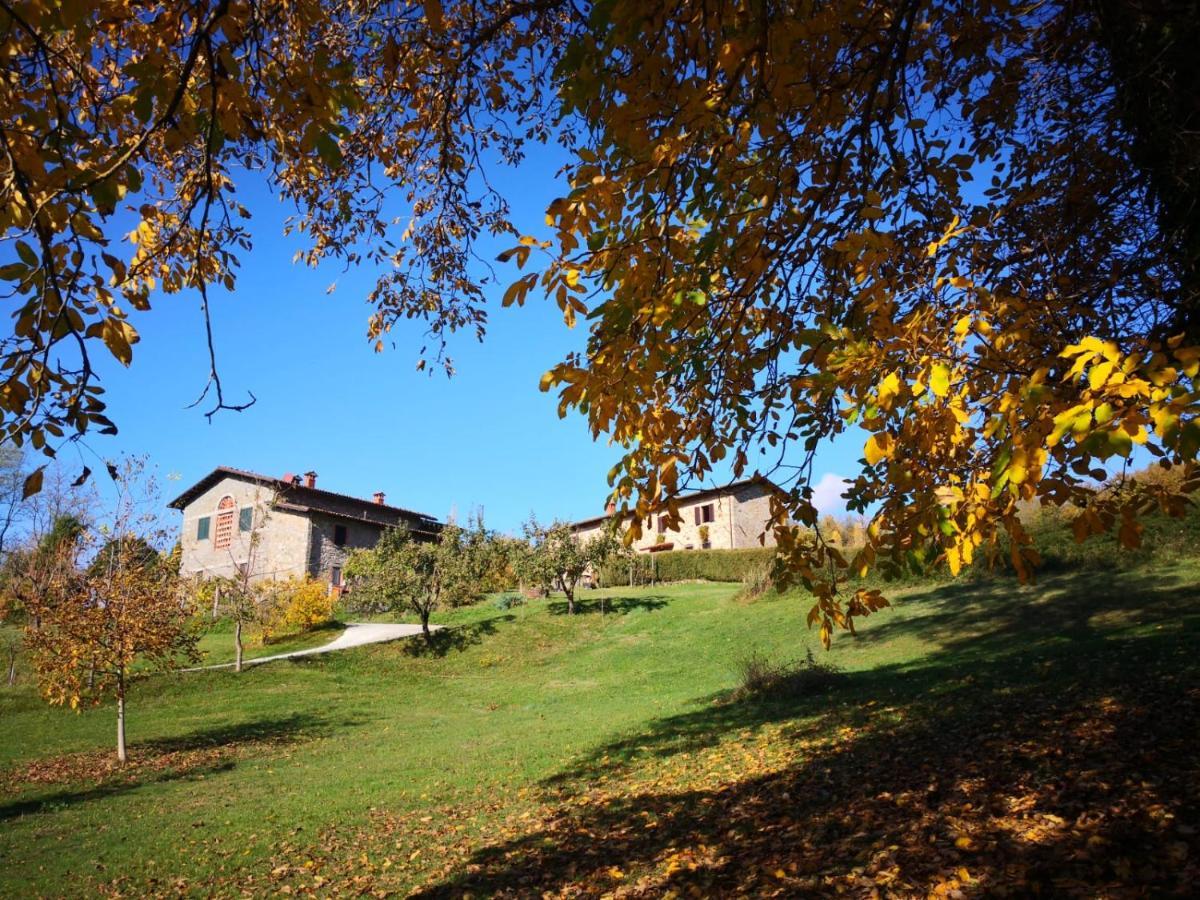 Agriturismo Braccicorti 피에베포시아나 외부 사진