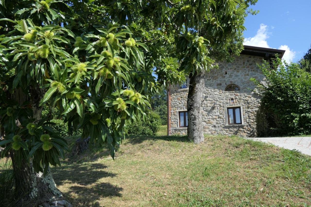 Agriturismo Braccicorti 피에베포시아나 외부 사진