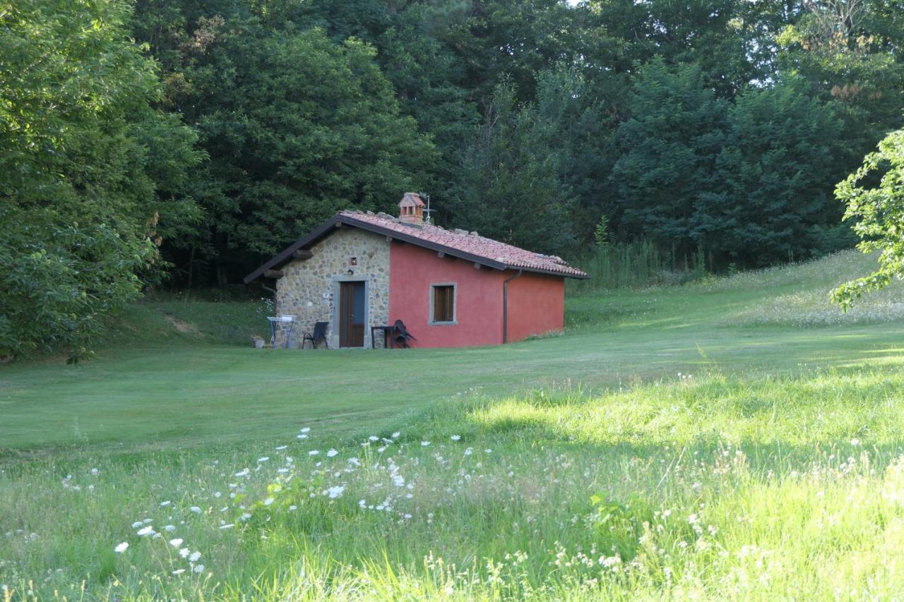 Agriturismo Braccicorti 피에베포시아나 외부 사진