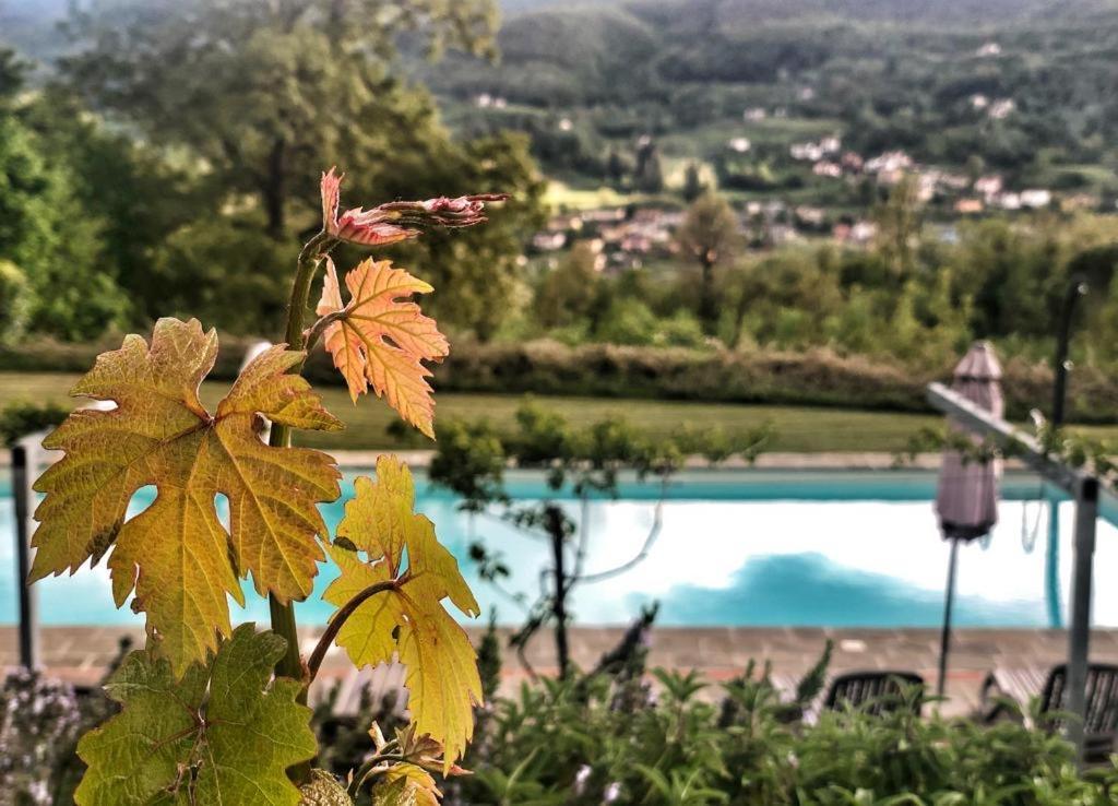Agriturismo Braccicorti 피에베포시아나 외부 사진