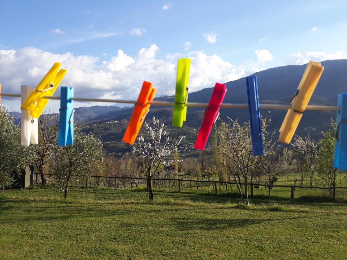 Agriturismo Braccicorti 피에베포시아나 외부 사진