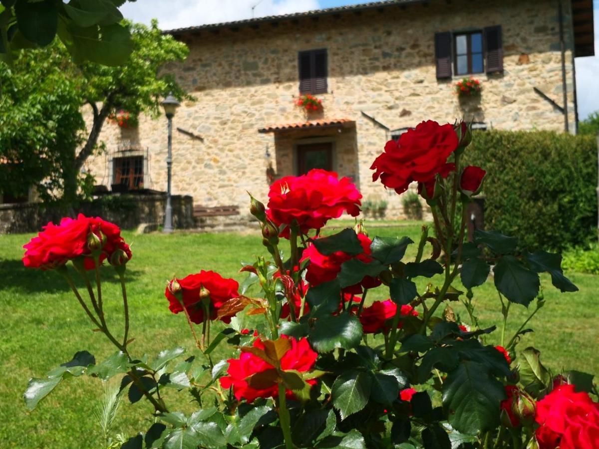 Agriturismo Braccicorti 피에베포시아나 외부 사진