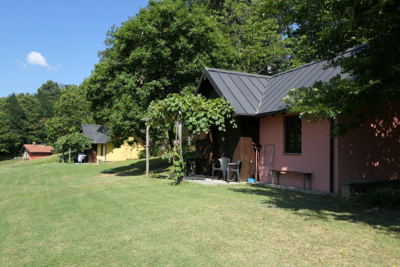 Agriturismo Braccicorti 피에베포시아나 외부 사진