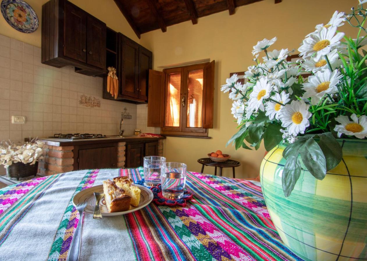 Agriturismo Braccicorti 피에베포시아나 외부 사진