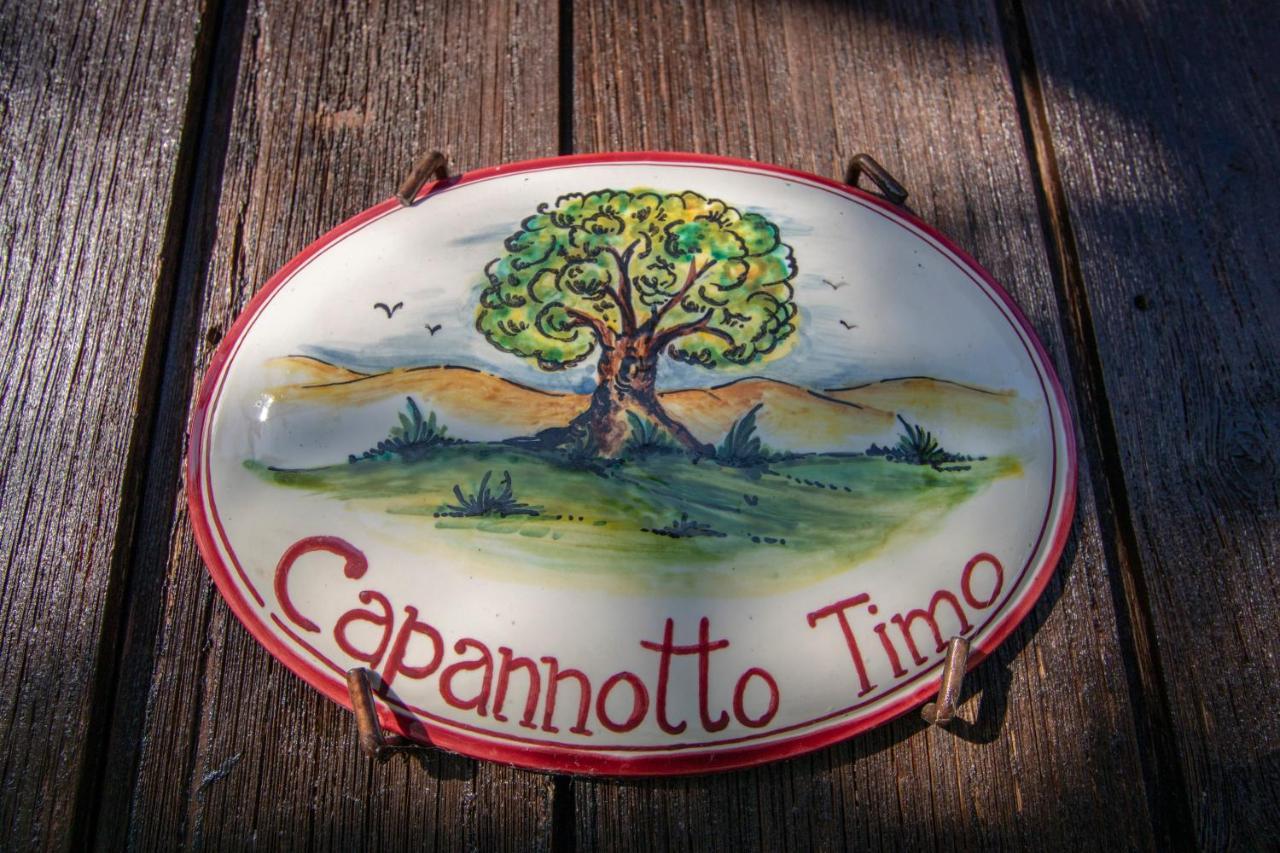 Agriturismo Braccicorti 피에베포시아나 외부 사진