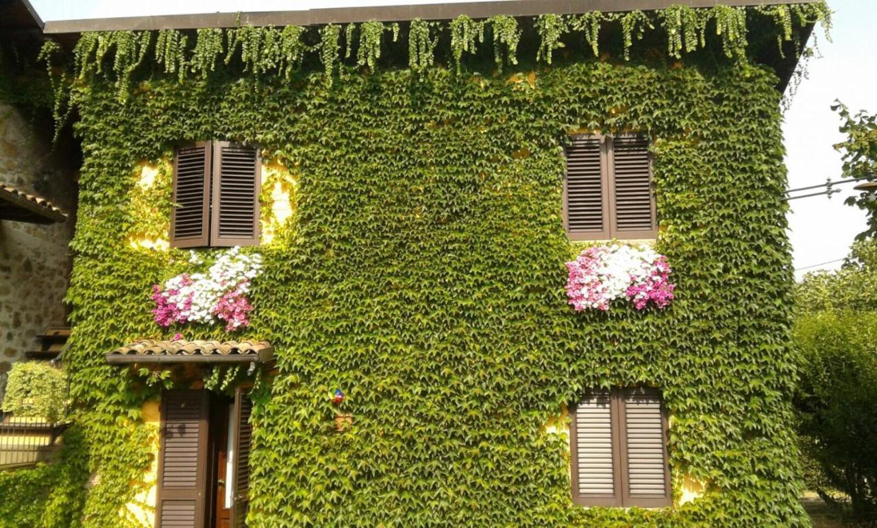 Agriturismo Braccicorti 피에베포시아나 외부 사진