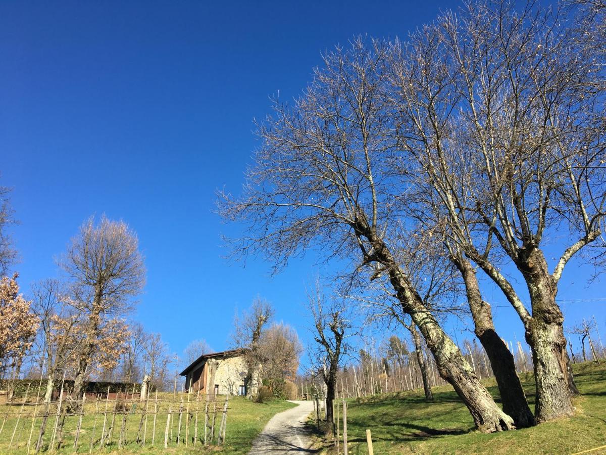 Agriturismo Braccicorti 피에베포시아나 외부 사진