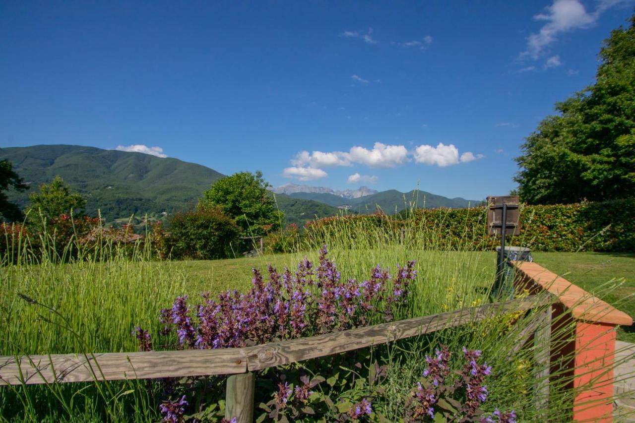 Agriturismo Braccicorti 피에베포시아나 외부 사진